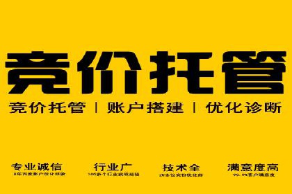 谷歌竞价广告的创意设计及某品牌成功经验